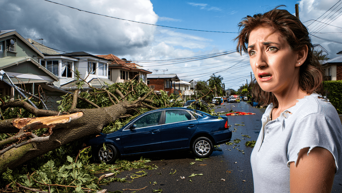 
			Assurance : Bilan et recommandations suite à la tempête Goretti 

			
				Actualité - 9 janvier 2026
			
		
