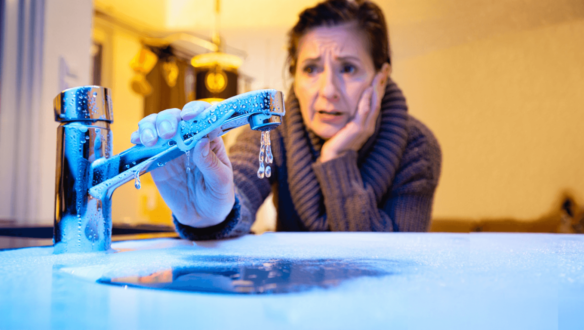 
			Gel et habitation : prévenir et gérer les dégâts des eaux

			
				Habitation - 18 février 2026
			
		
