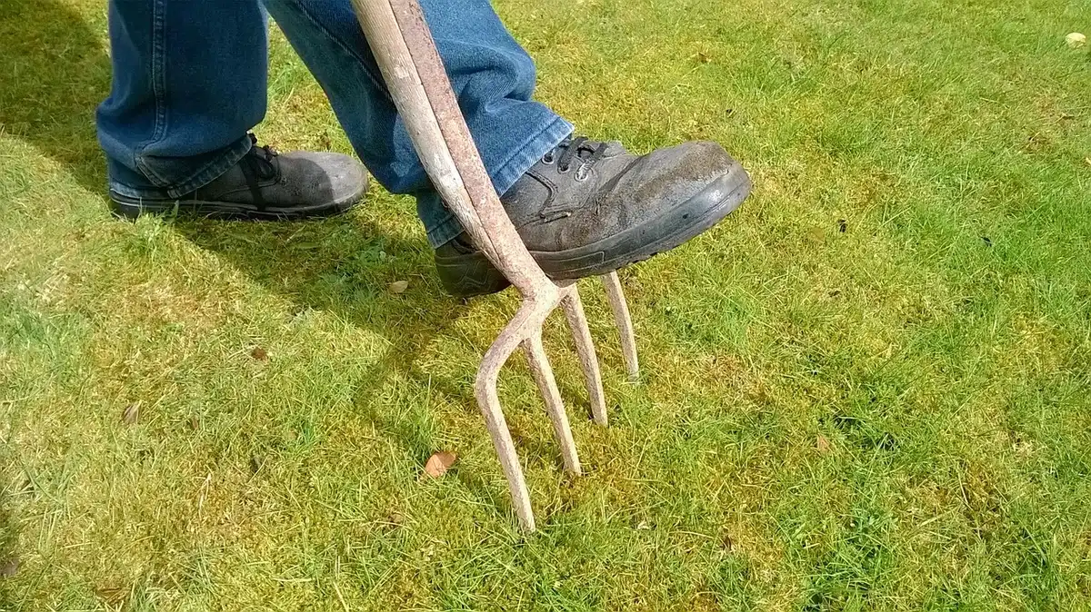 Jardin avec tondeuse et outils d'entretien